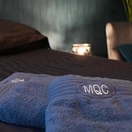 L'acacia #hyper-centre #marché Couvert Appartement *